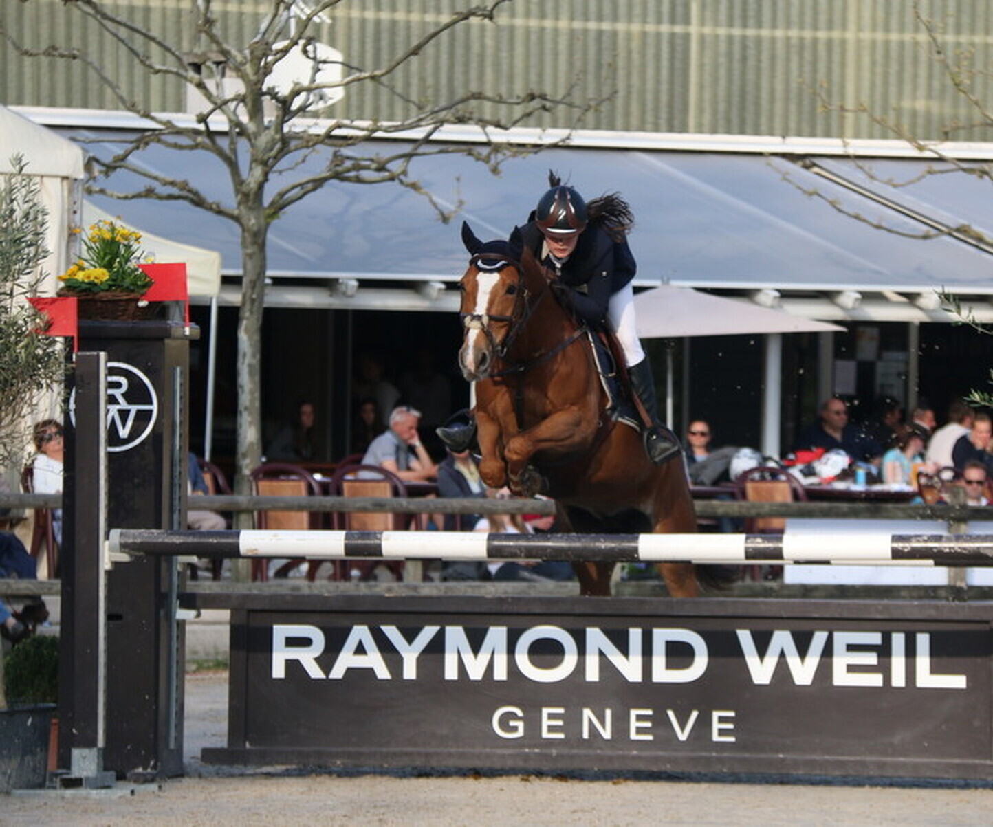 Description de l'image