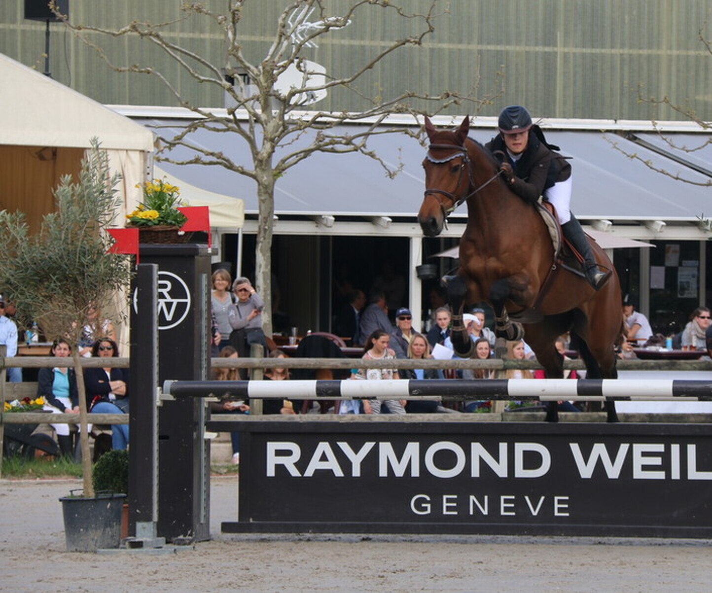 Description de l'image