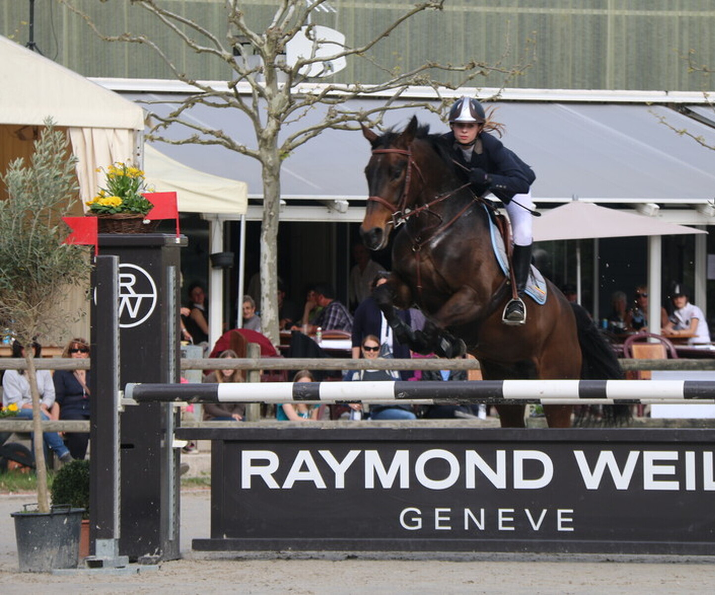 Description de l'image