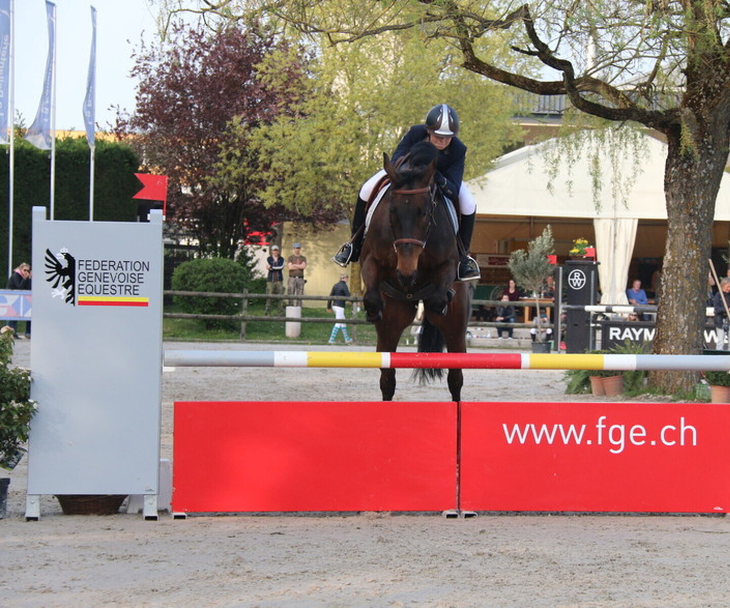 Description de l'image