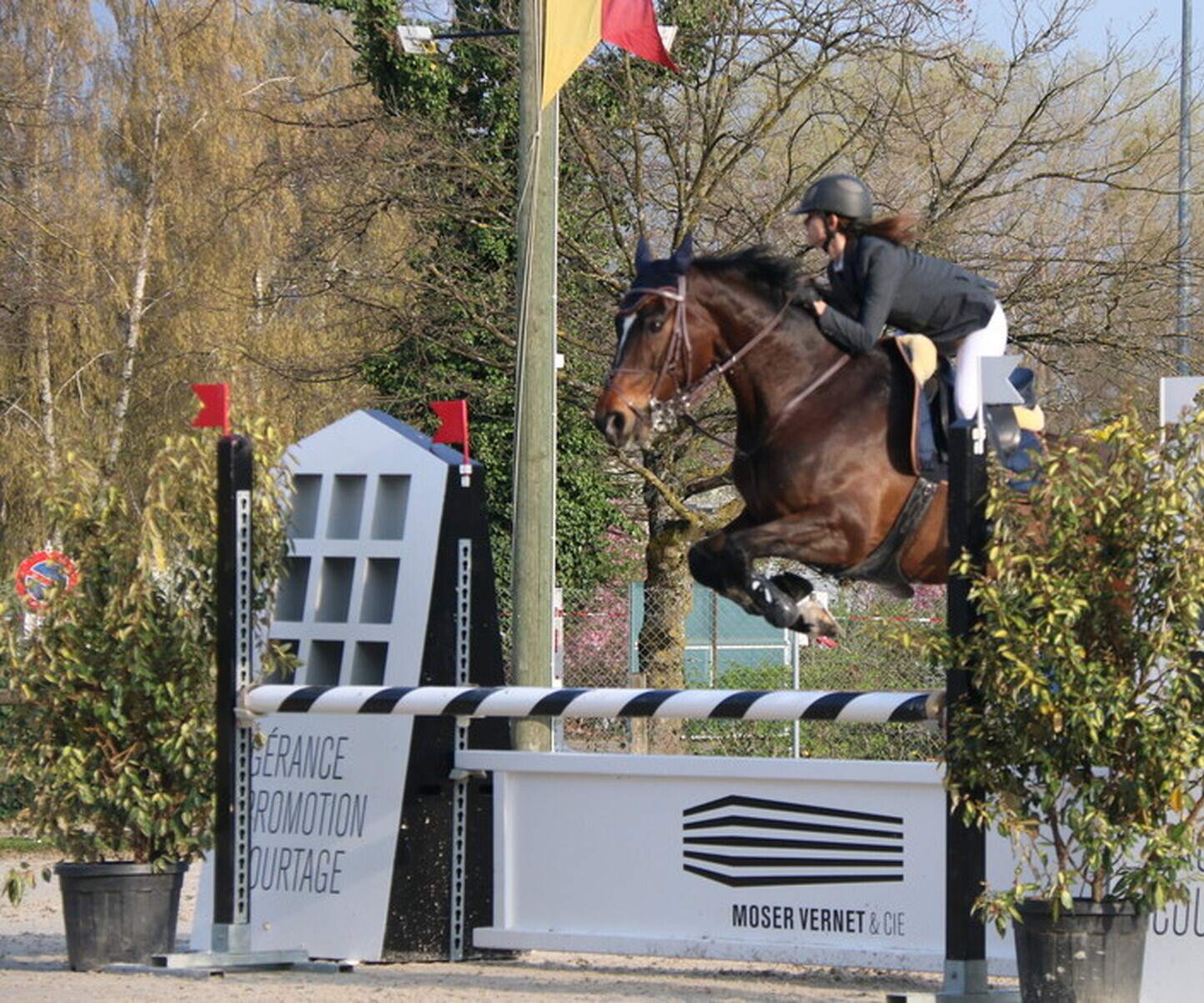 Description de l'image