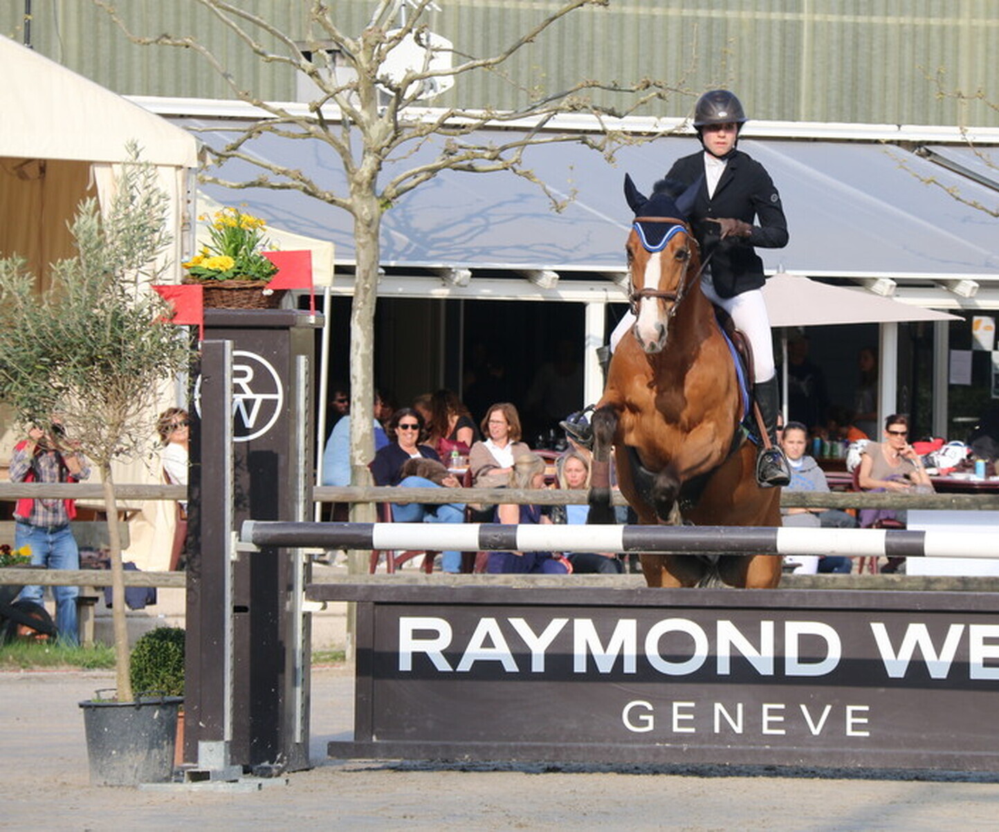 Description de l'image