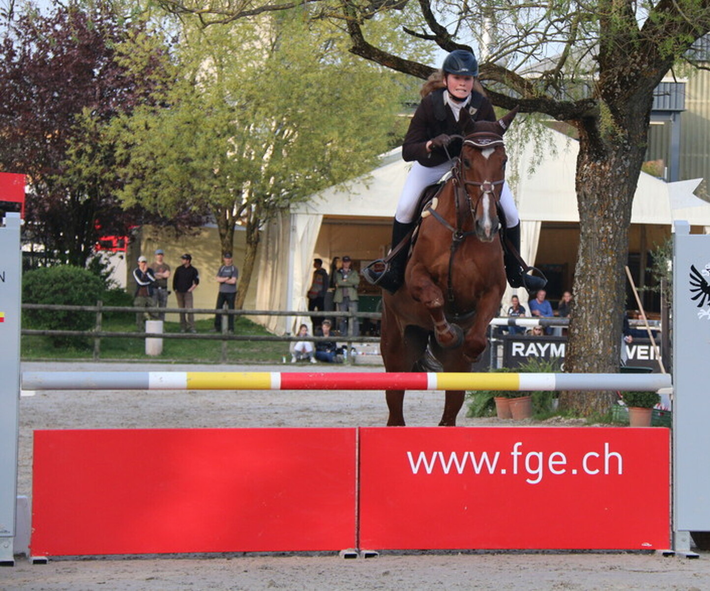 Description de l'image