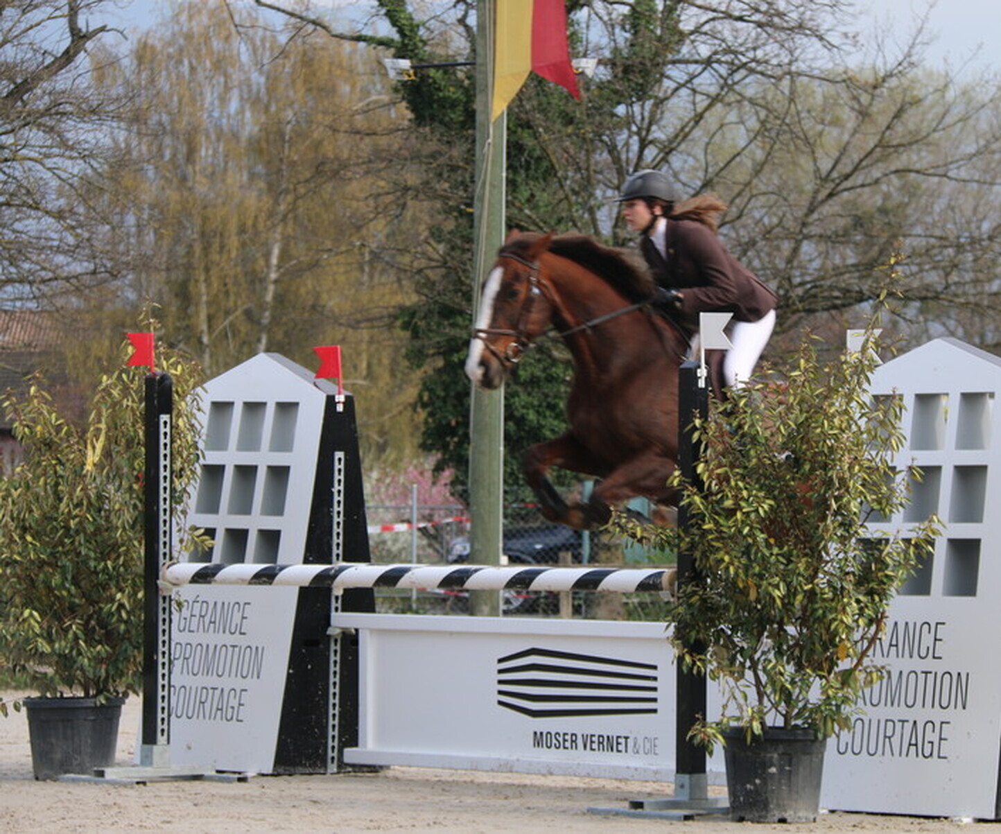 Description de l'image