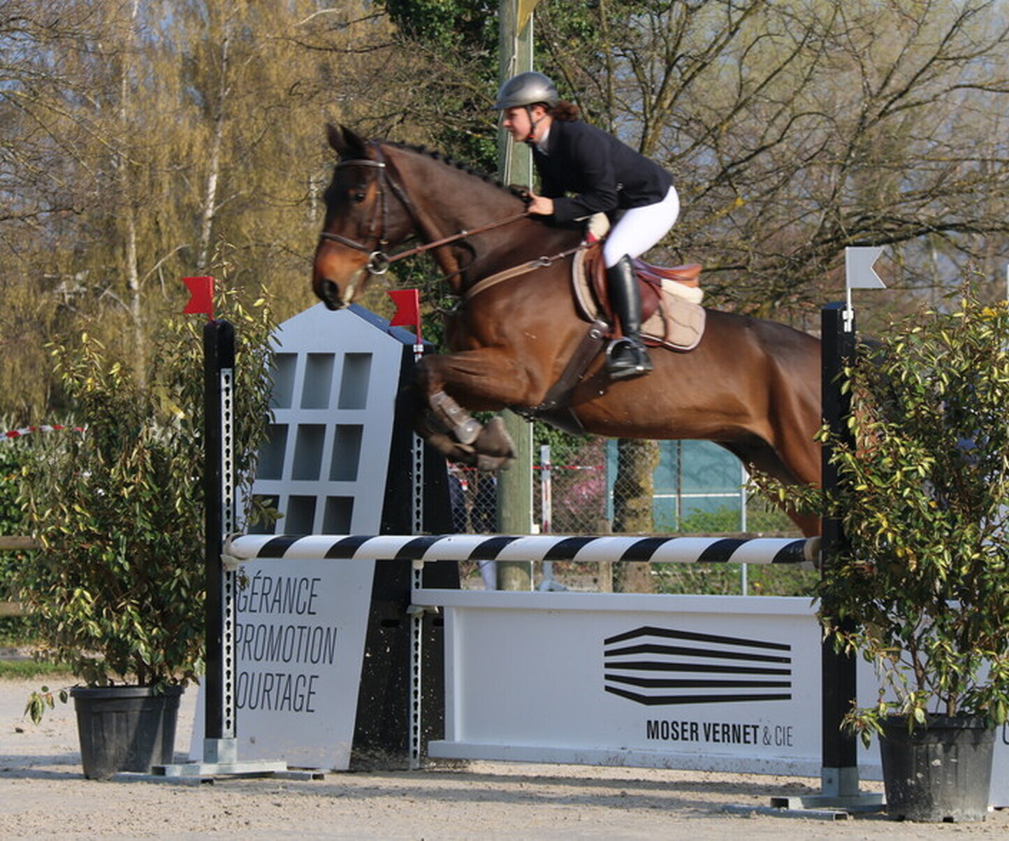 Description de l'image