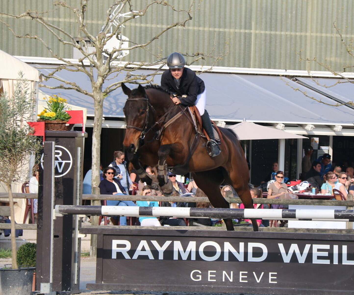 Description de l'image