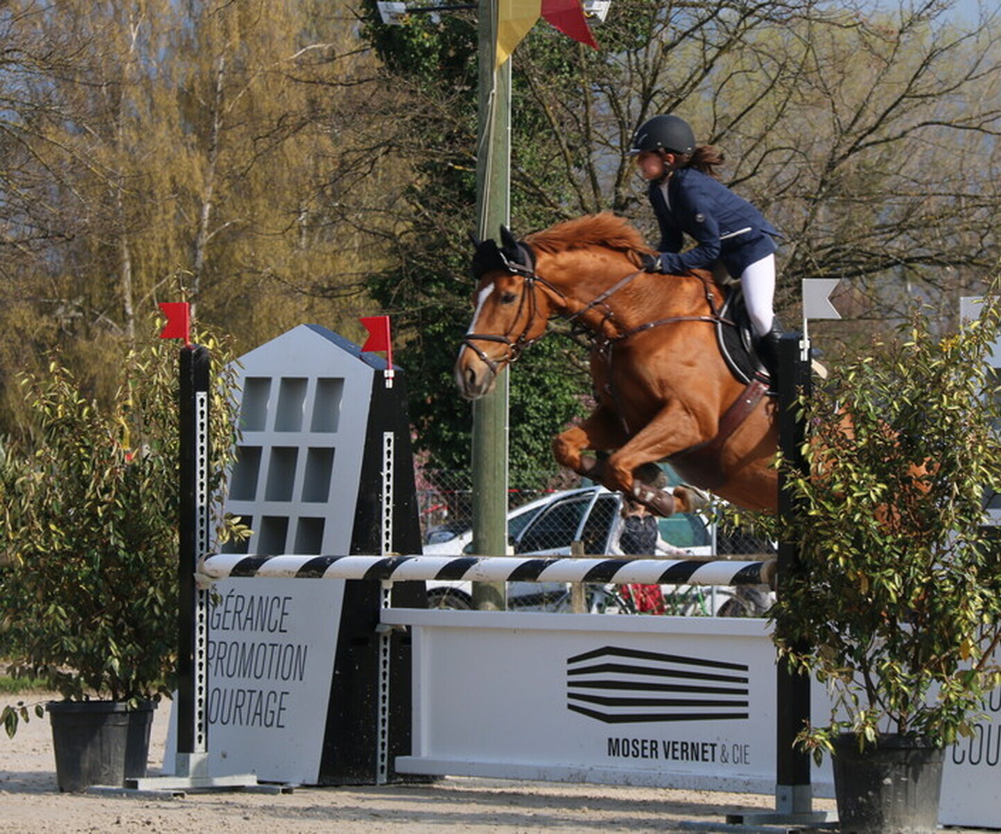 Description de l'image