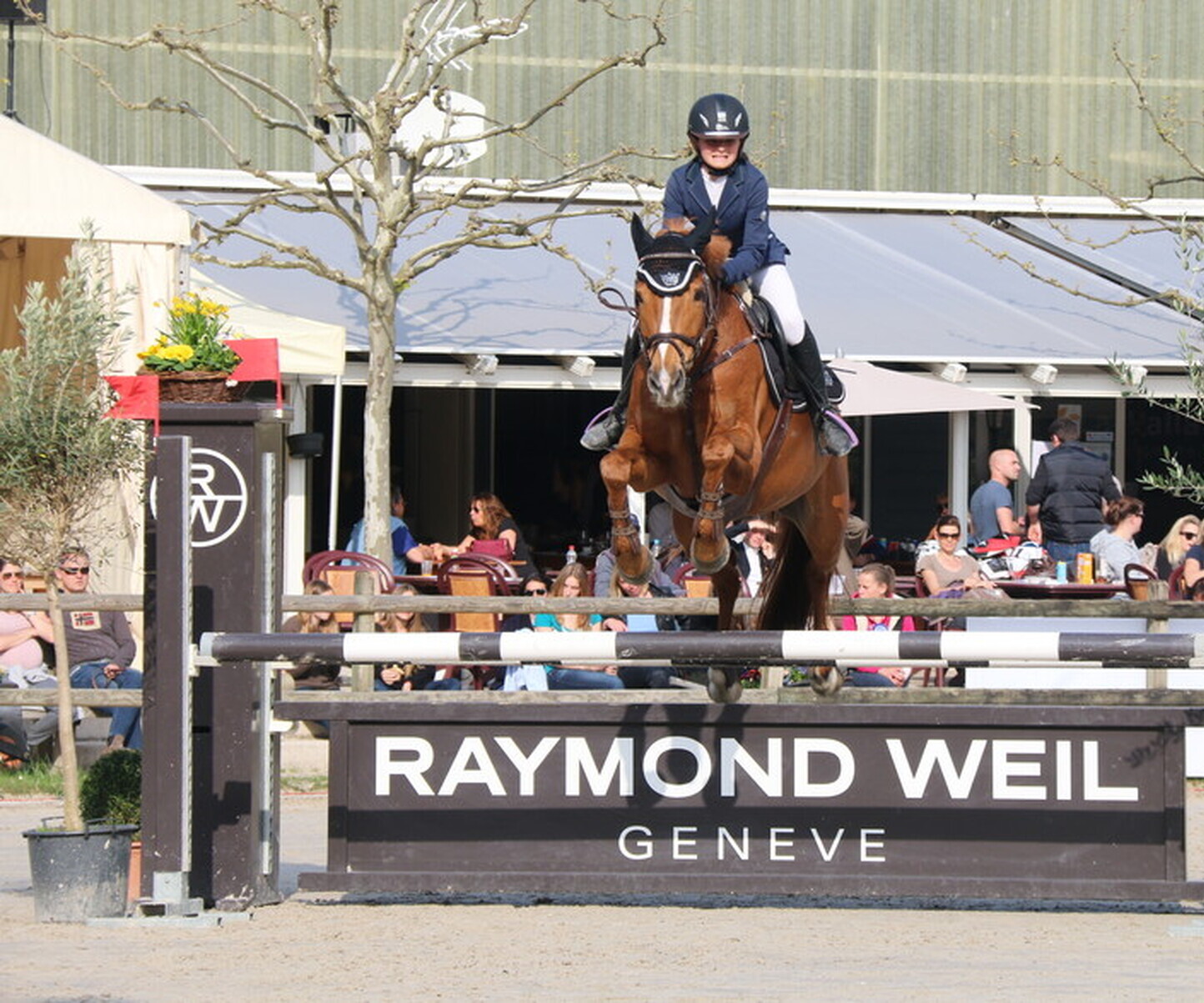 Description de l'image