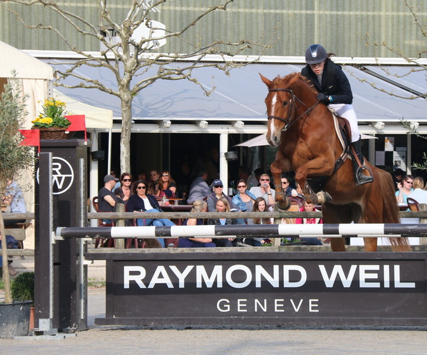 Description de l'image