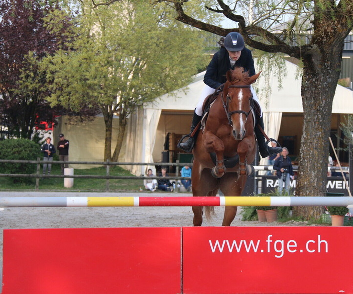 Description de l'image