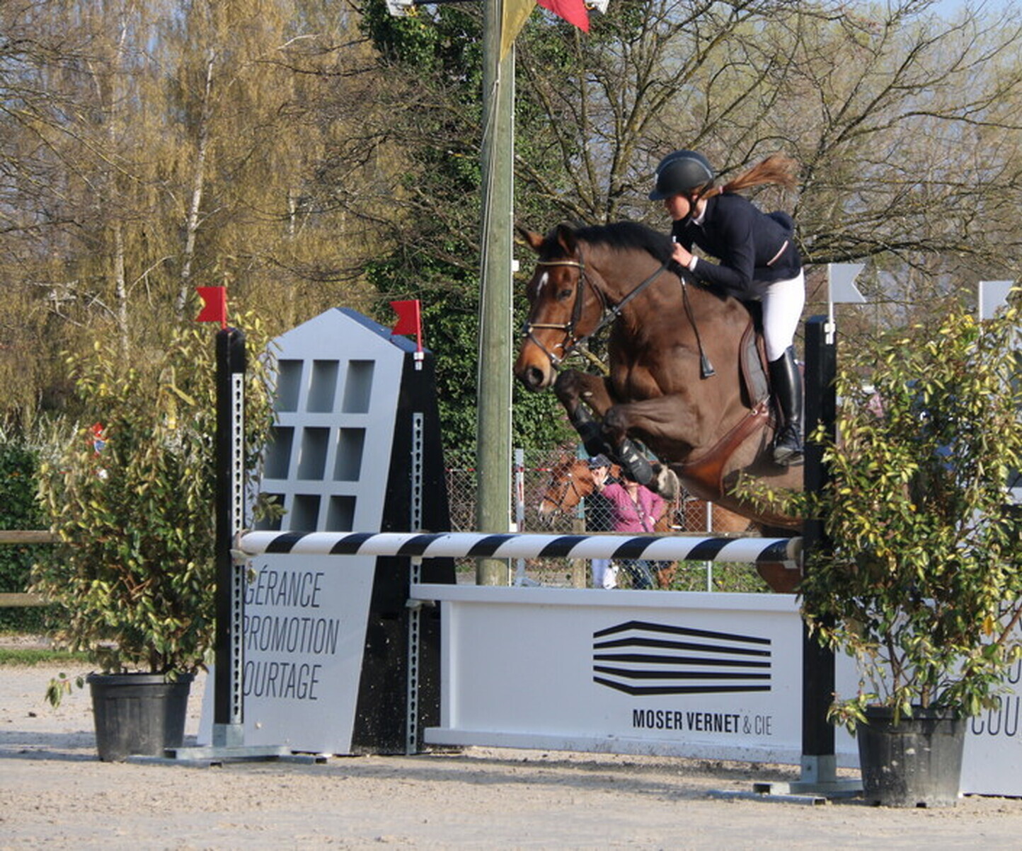 Description de l'image