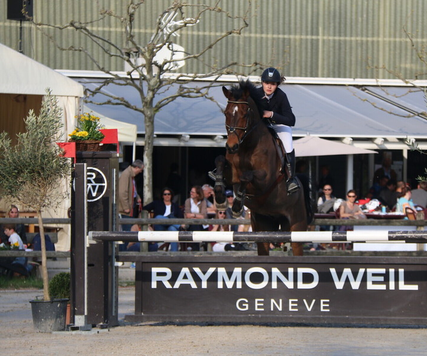 Description de l'image