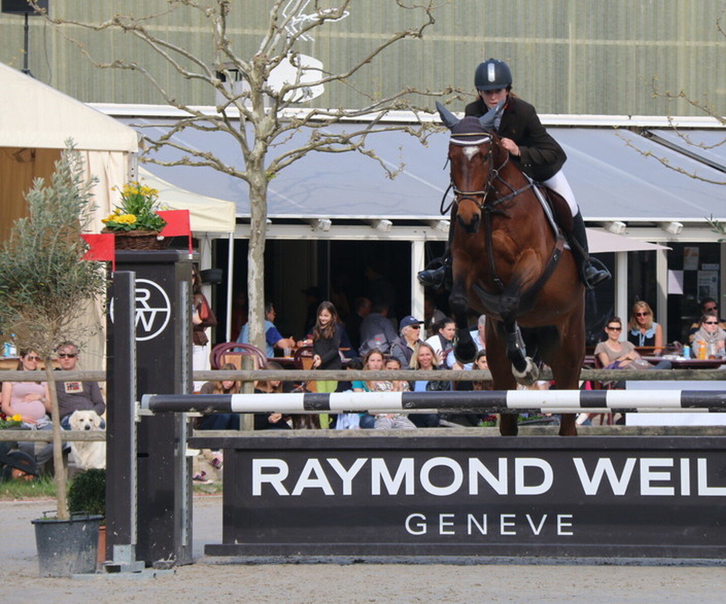 Description de l'image