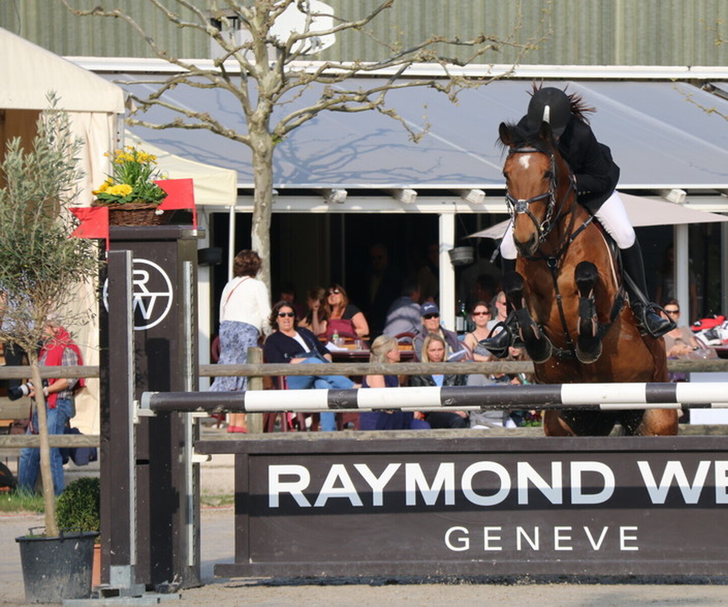 Description de l'image