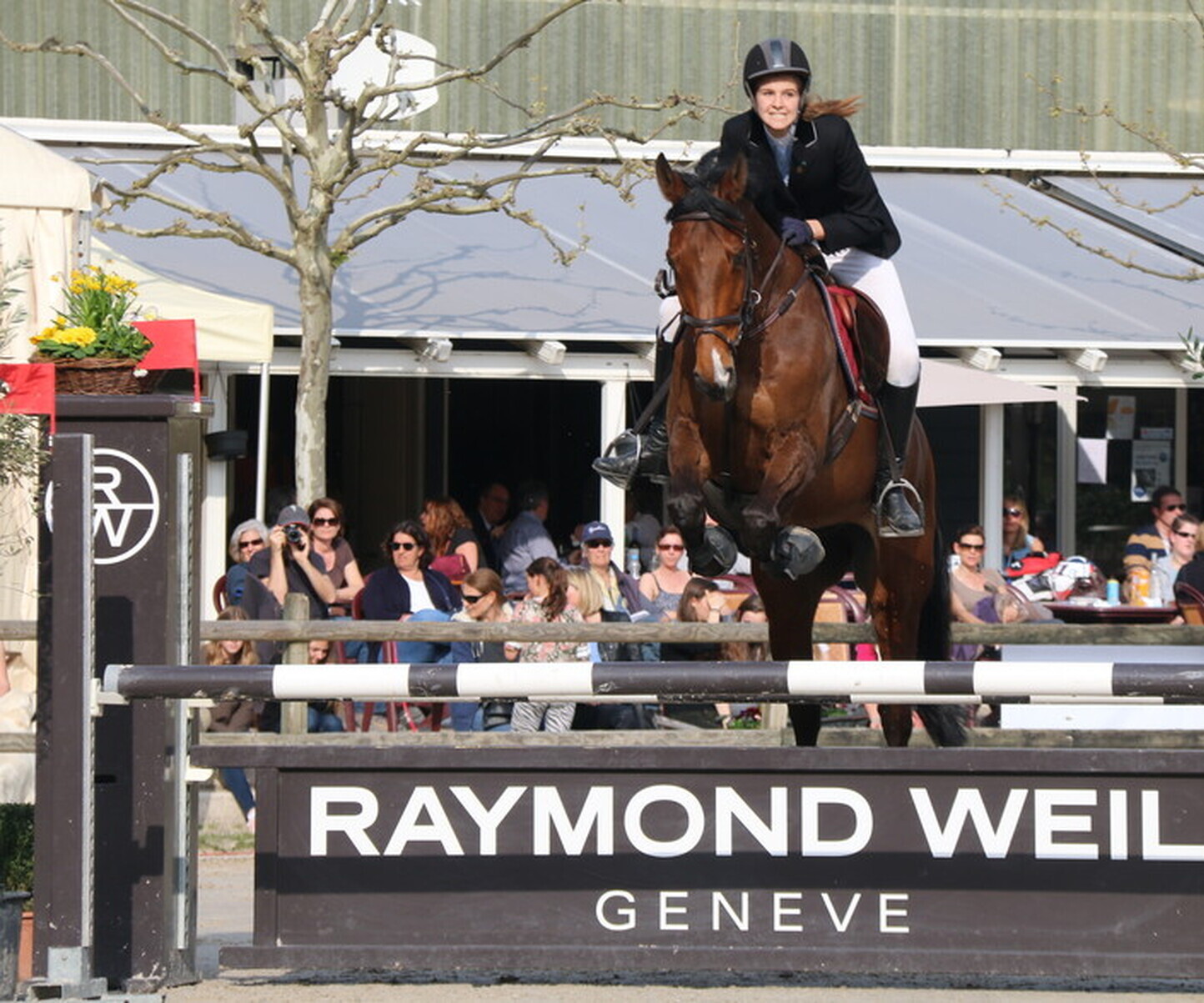 Description de l'image