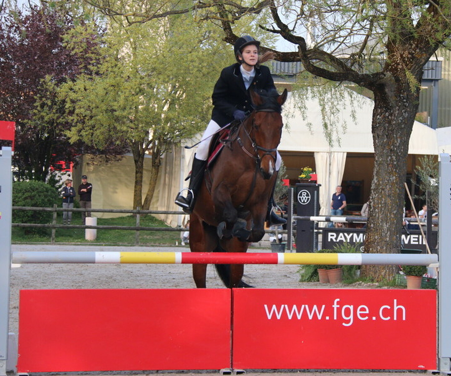 Description de l'image