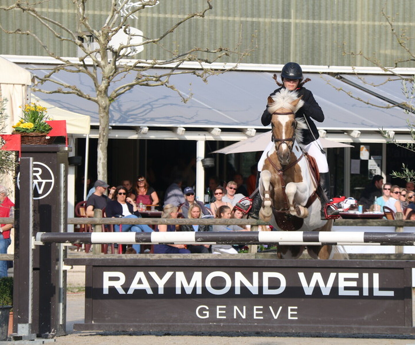 Description de l'image