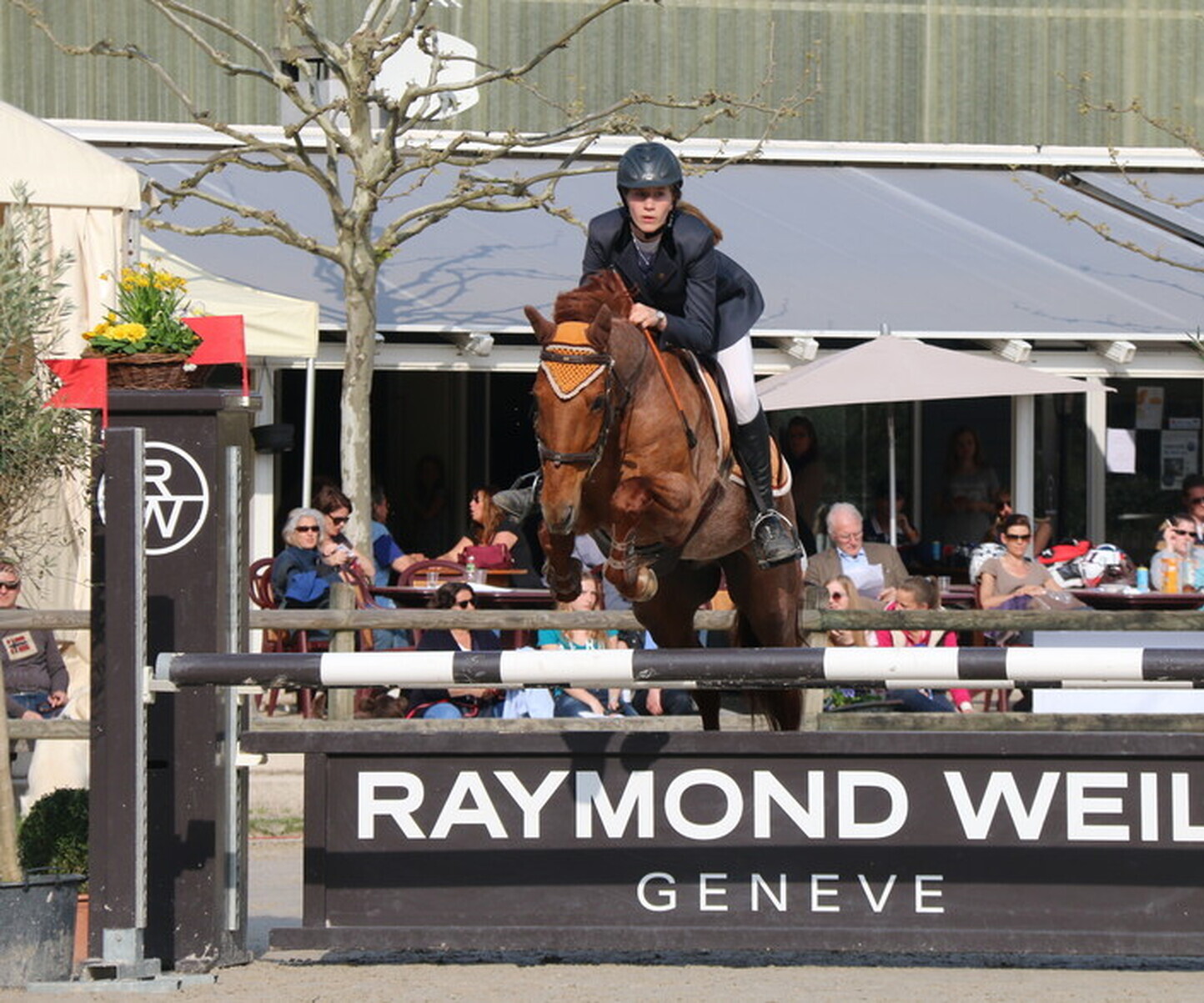 Description de l'image