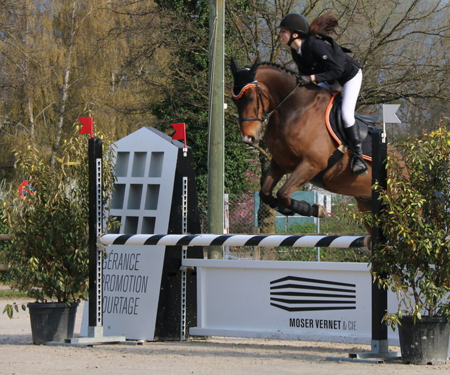 Description de l'image