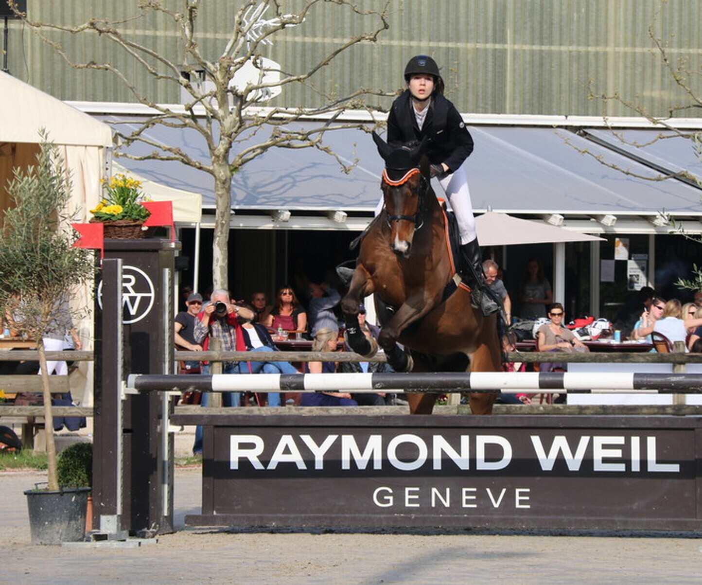 Description de l'image