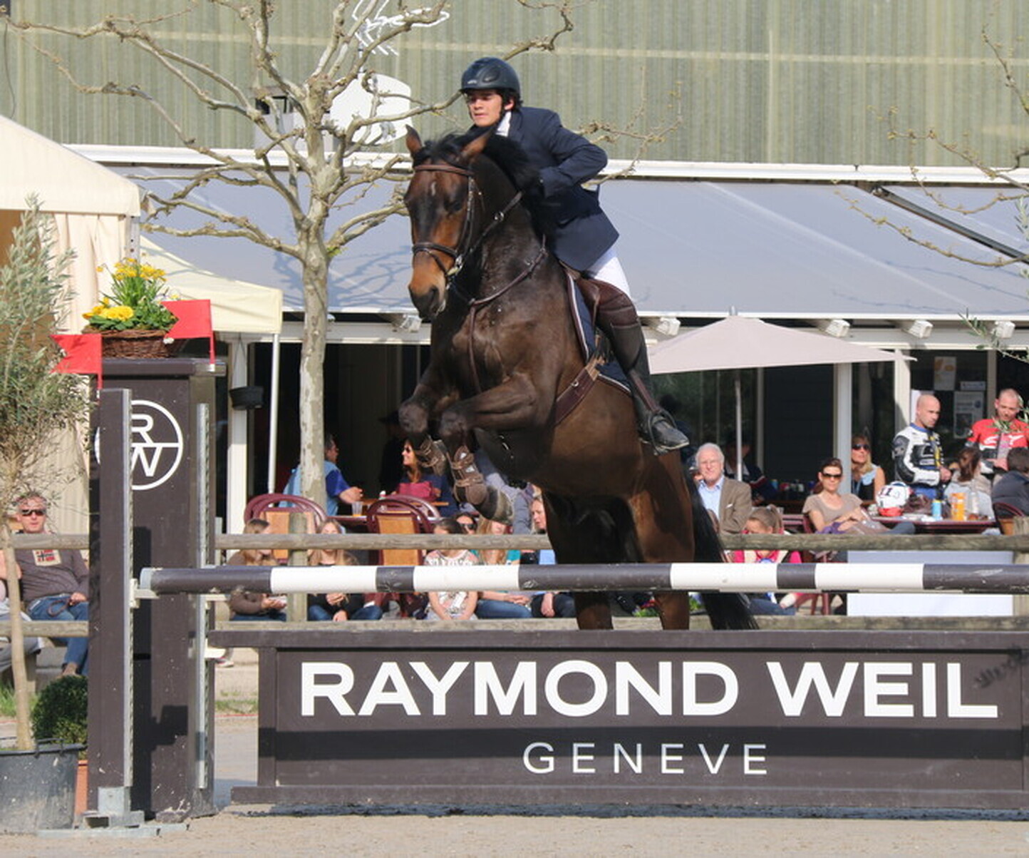 Description de l'image