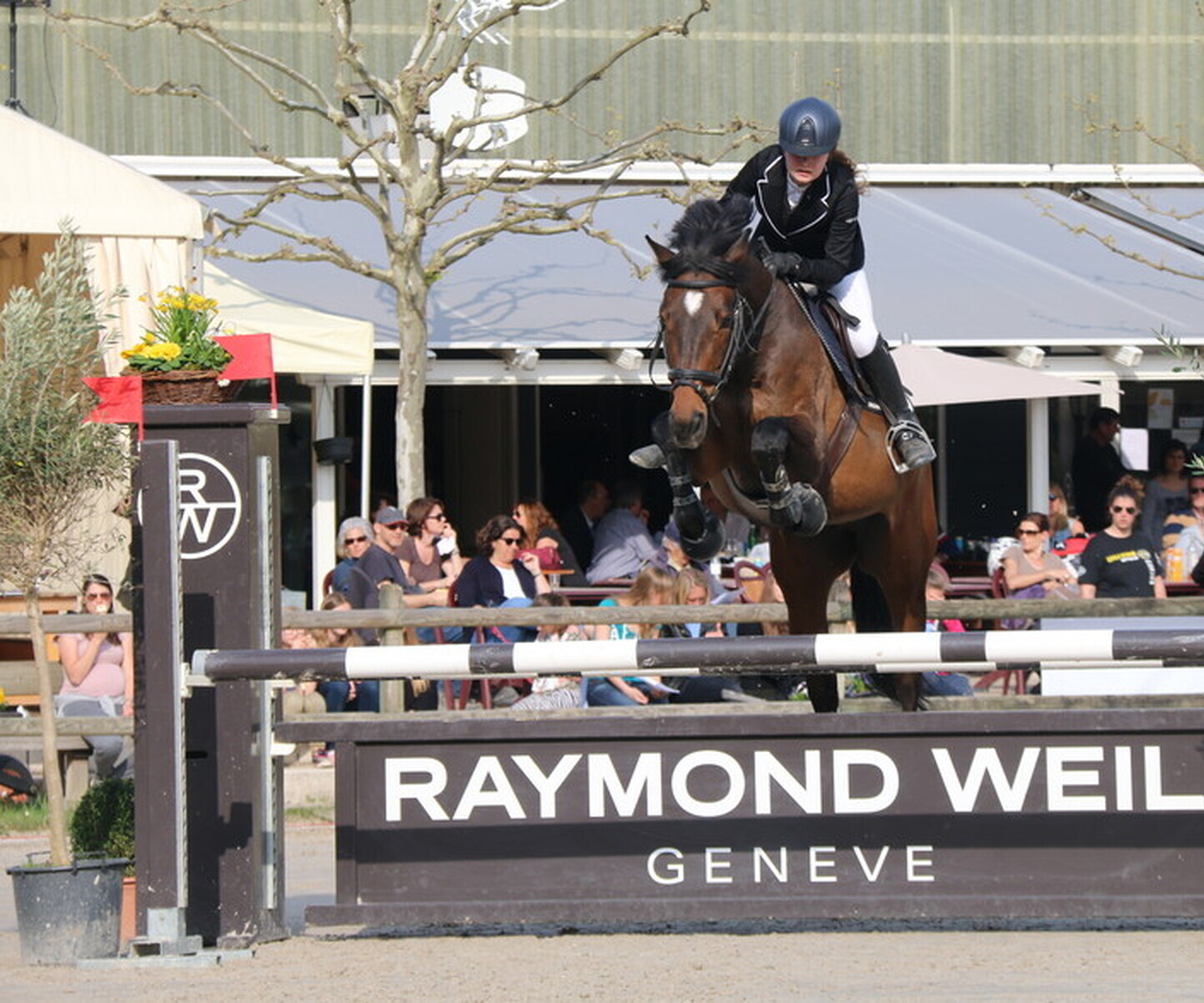 Description de l'image