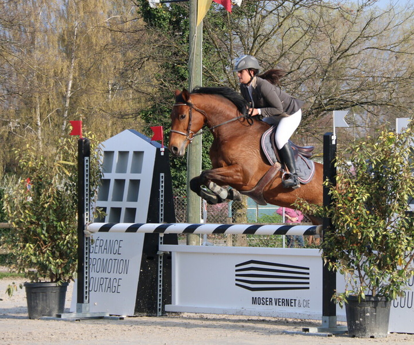 Description de l'image