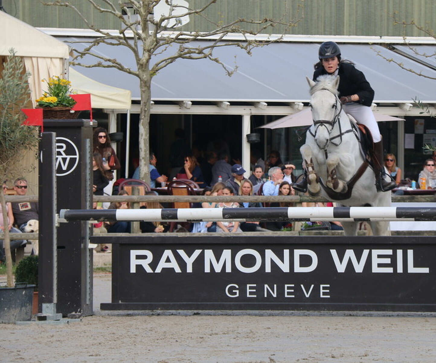 Description de l'image