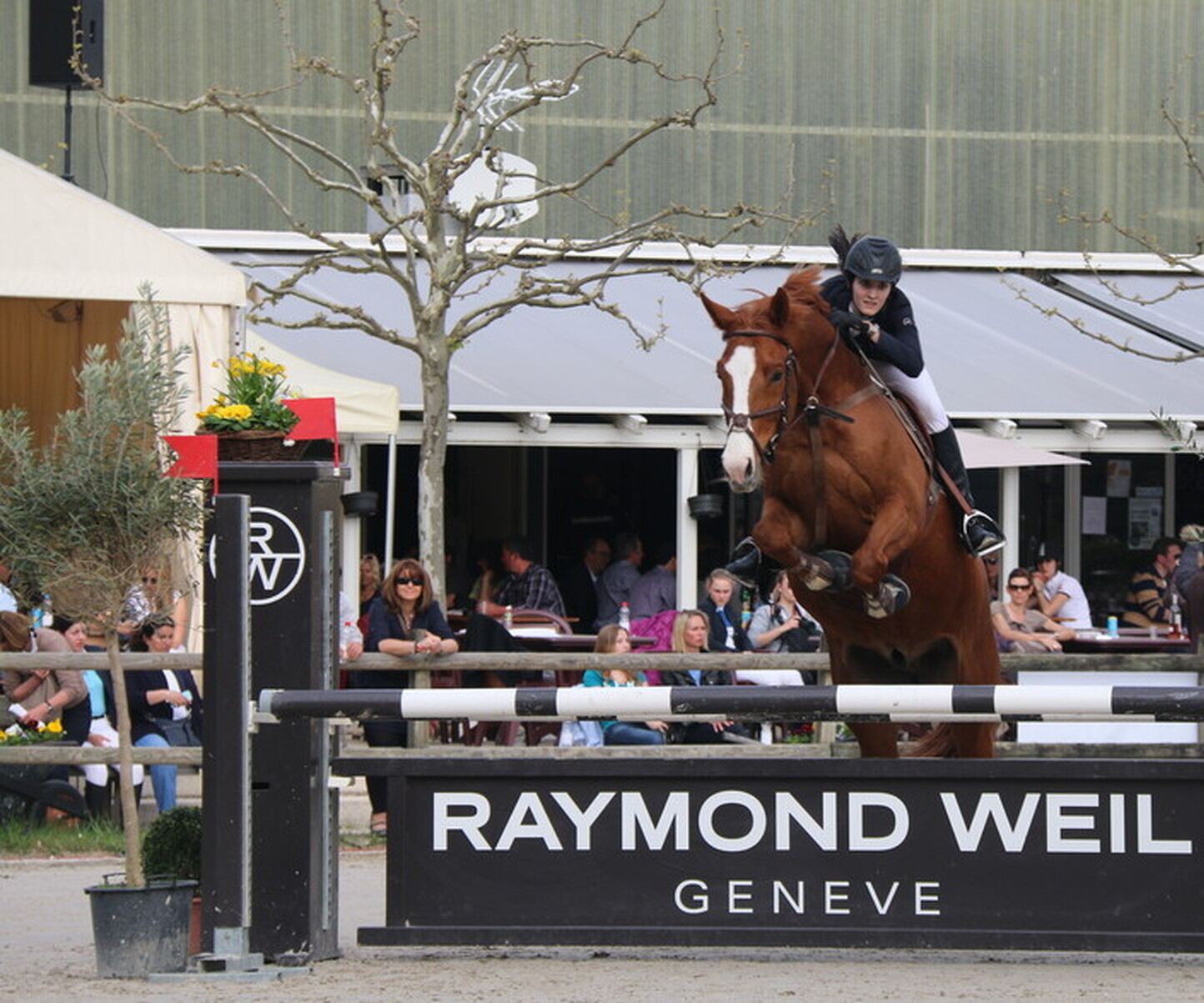 Description de l'image