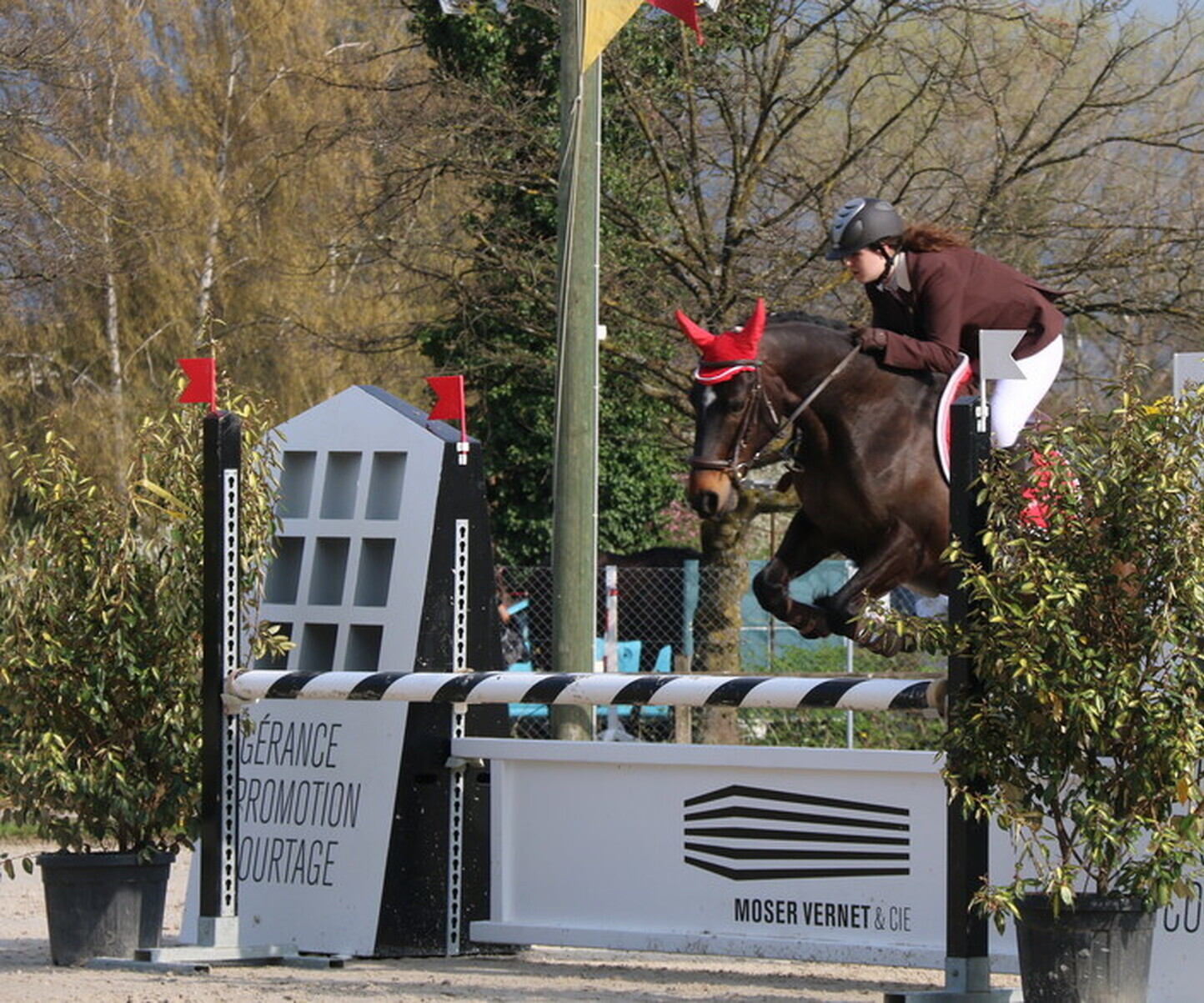 Description de l'image