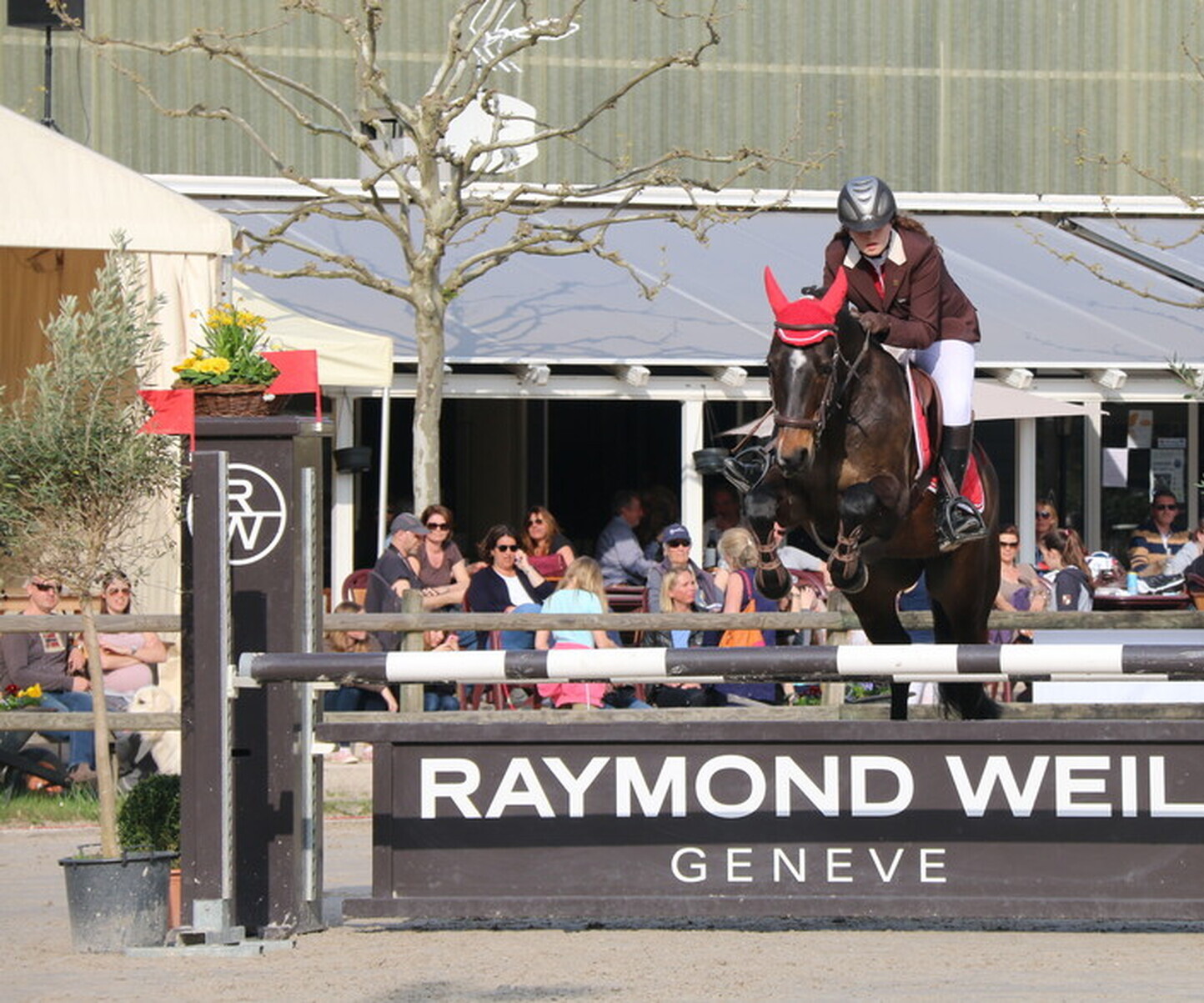 Description de l'image