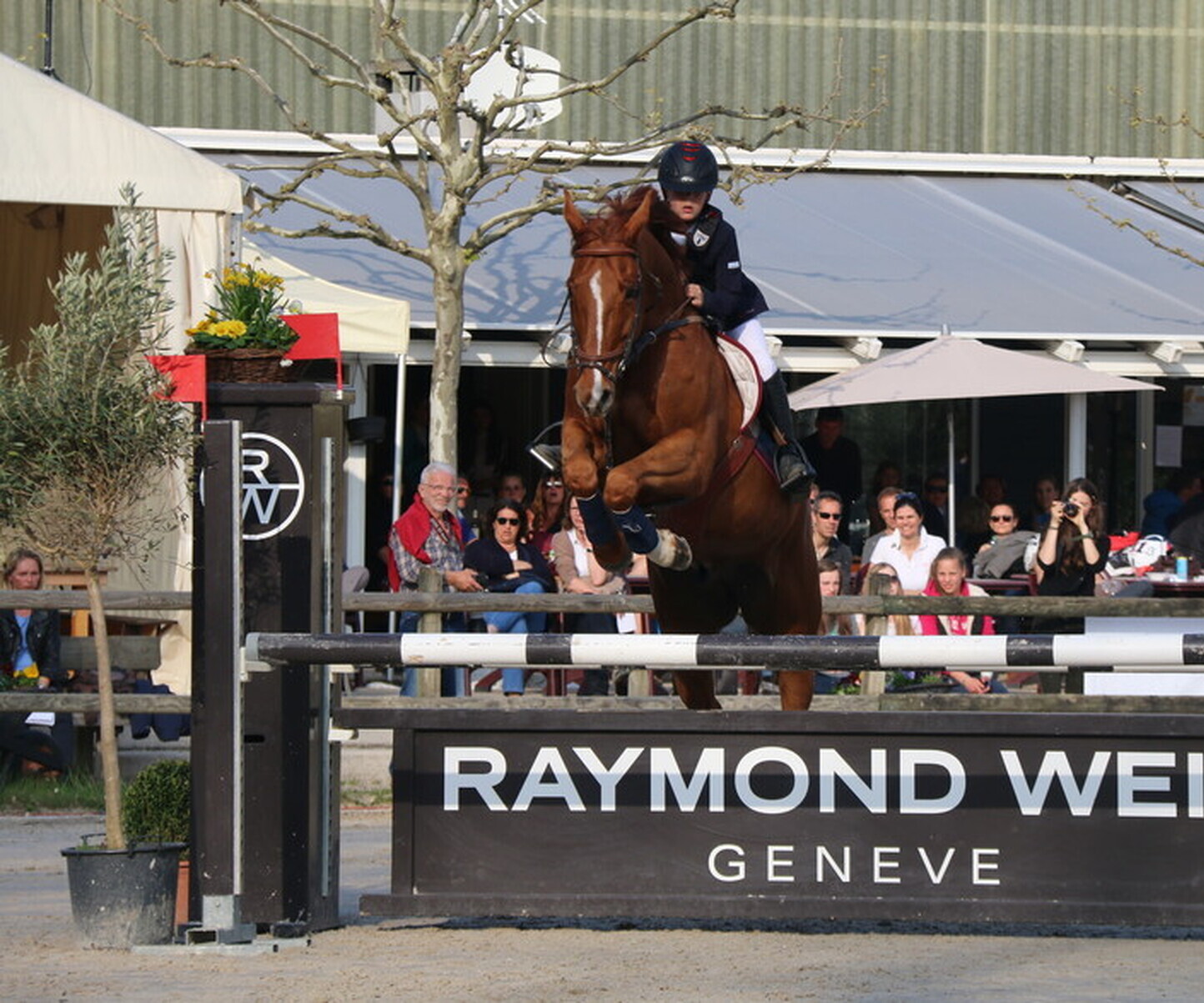 Description de l'image