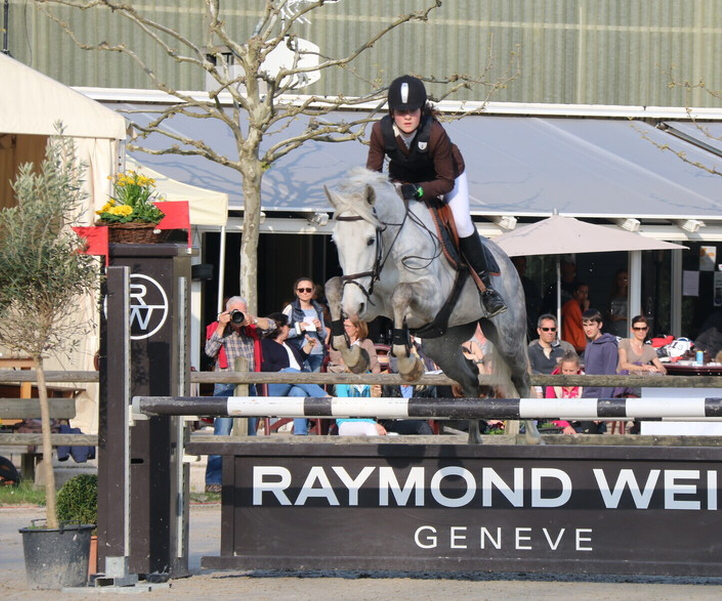 Description de l'image