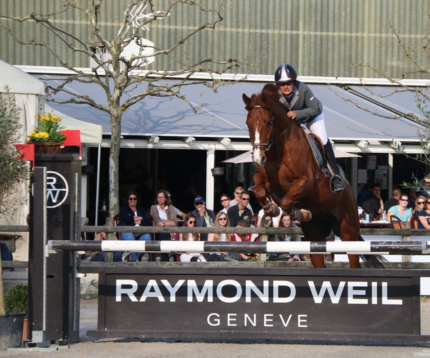 Description de l'image