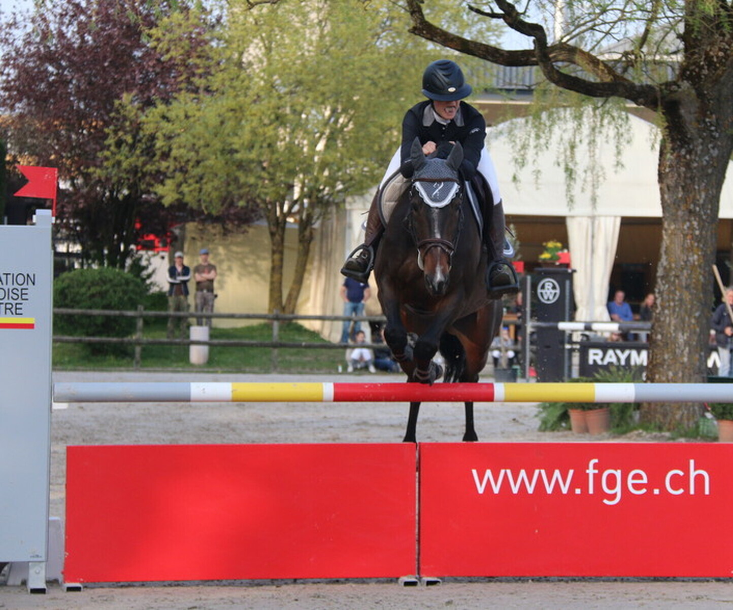 Description de l'image