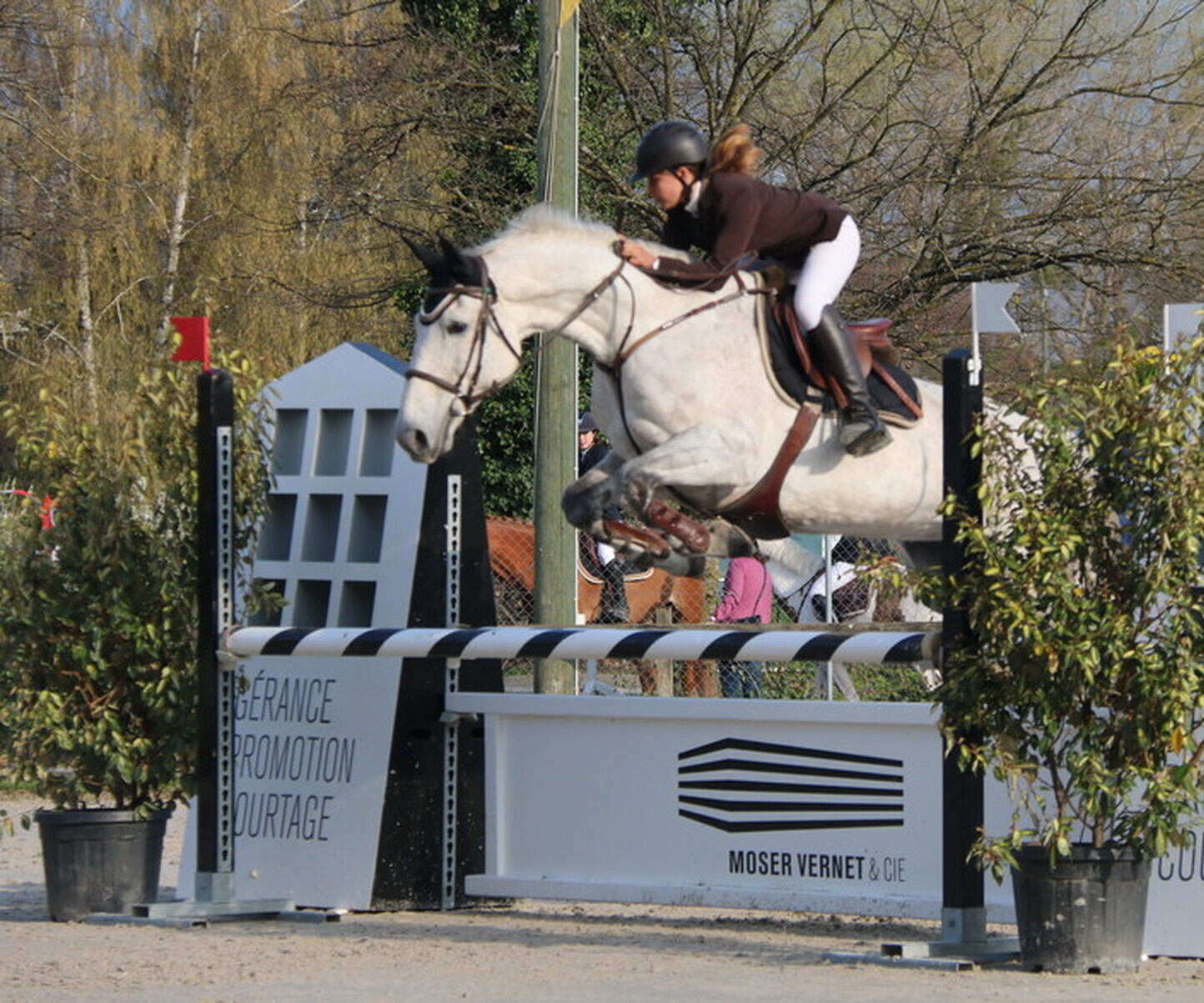 Description de l'image