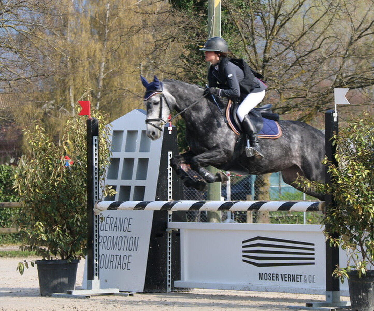 Description de l'image