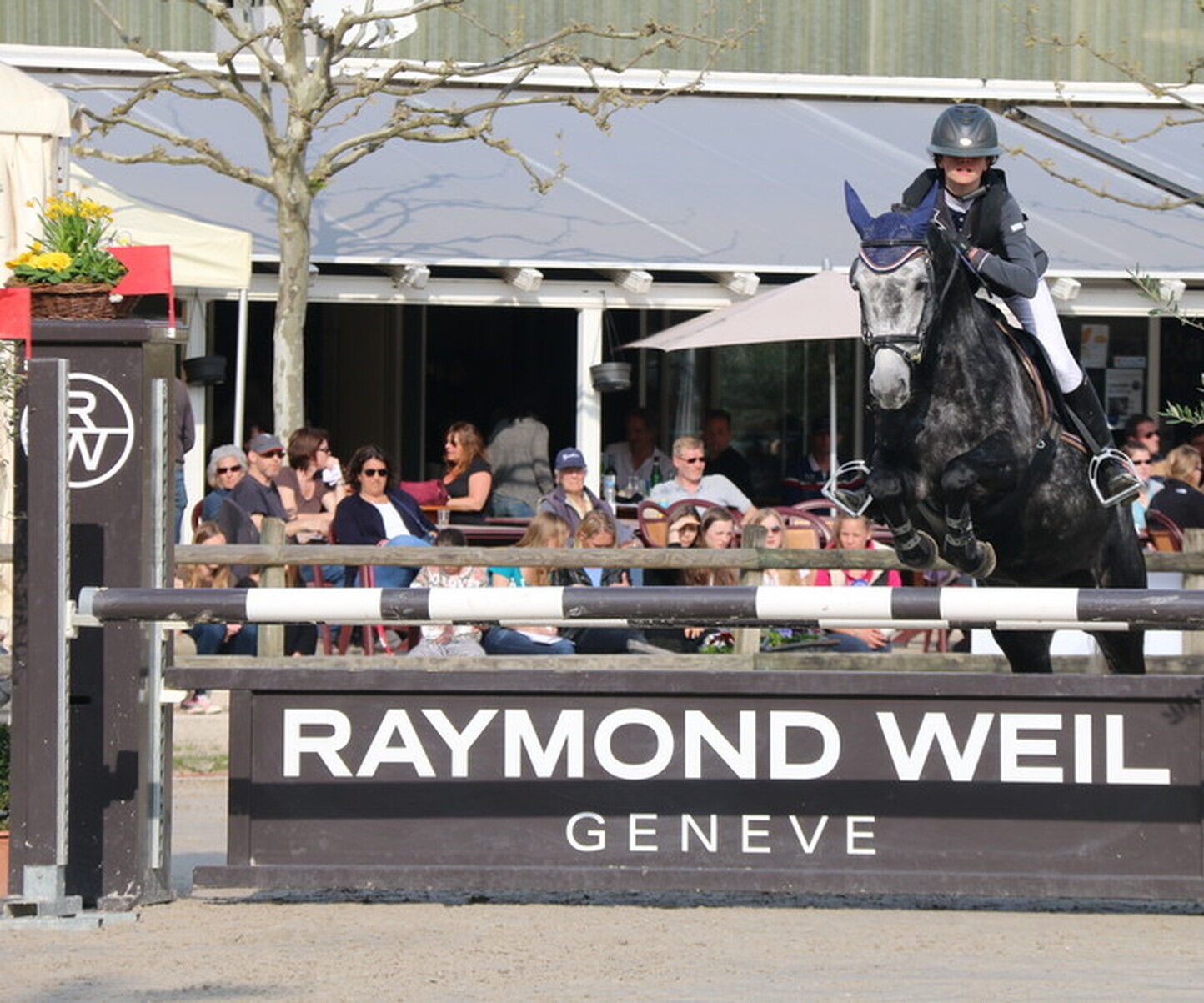 Description de l'image