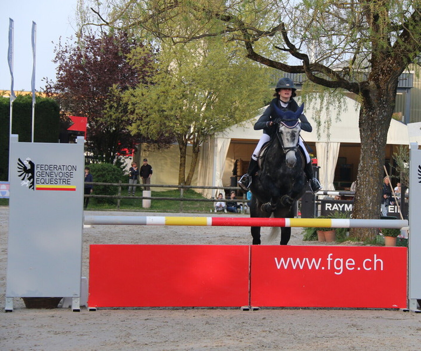 Description de l'image