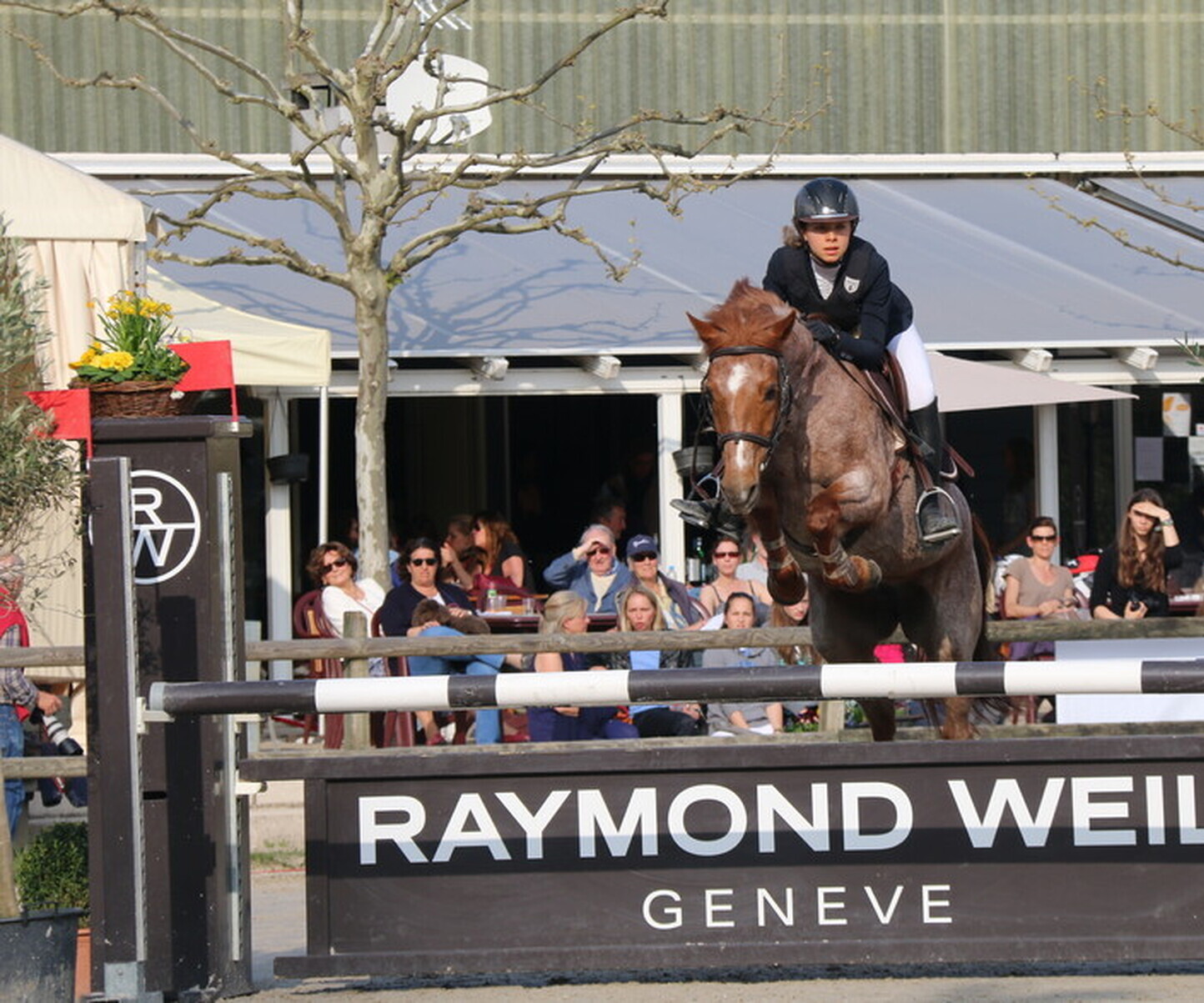 Description de l'image