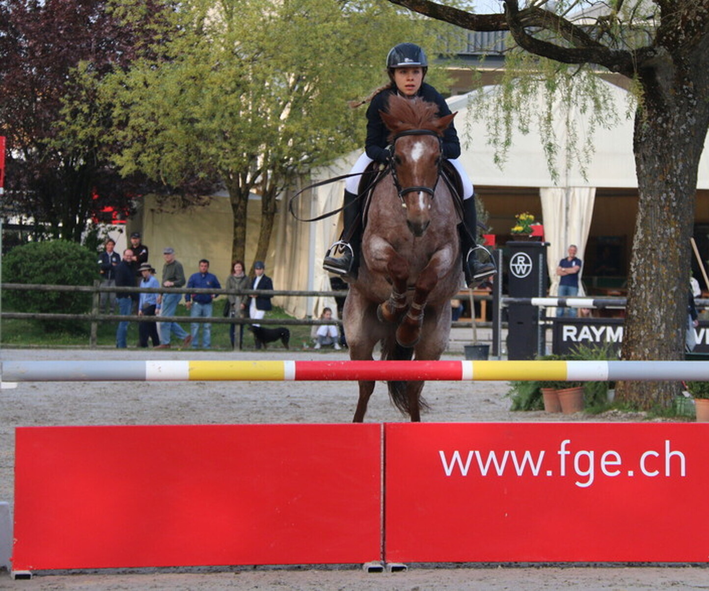 Description de l'image