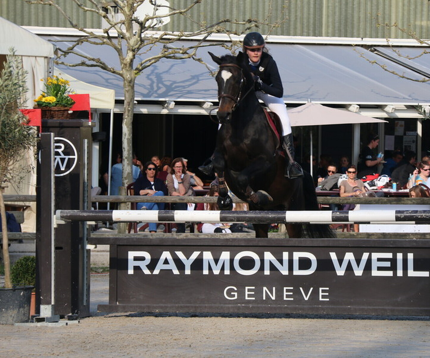 Description de l'image