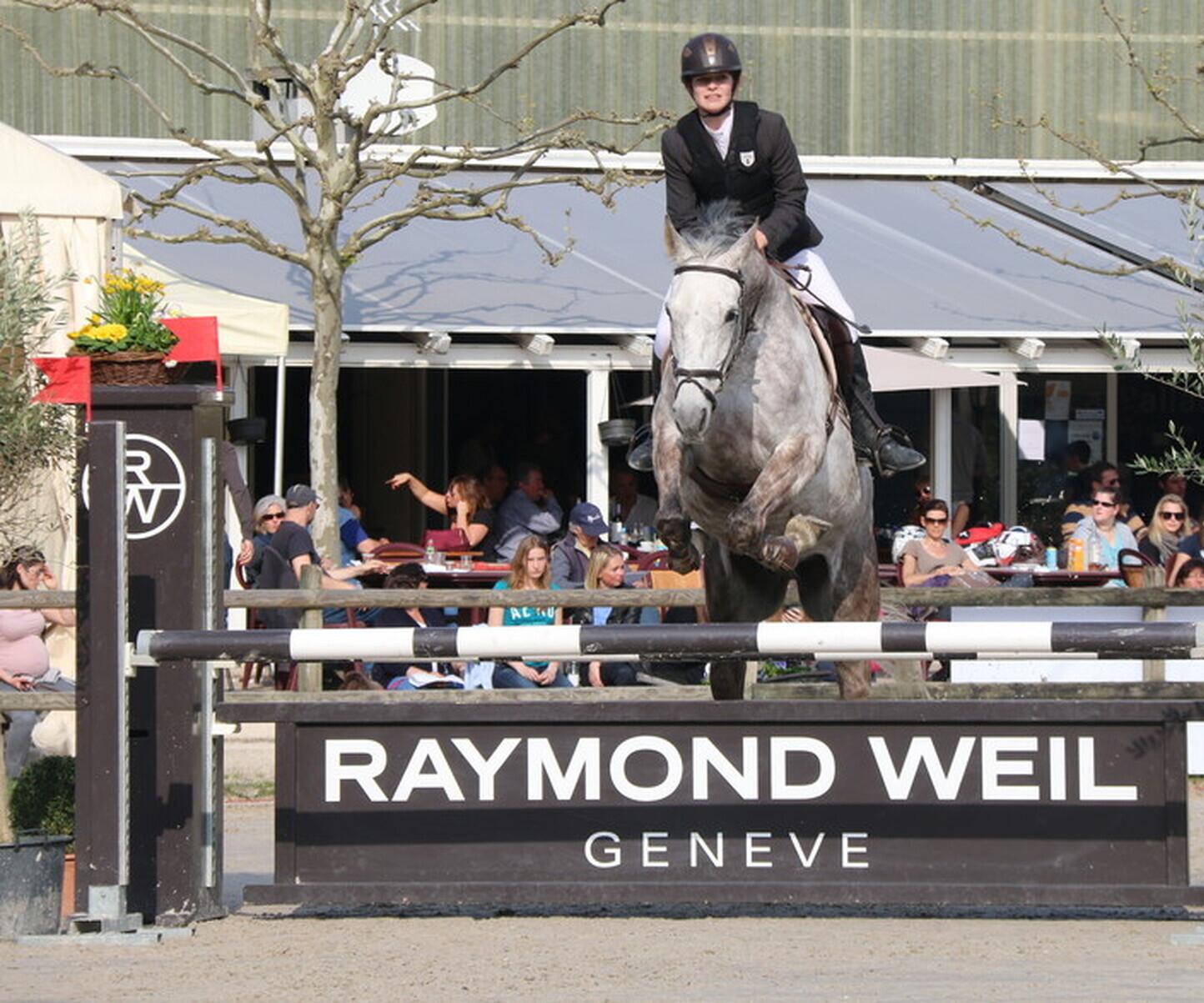 Description de l'image