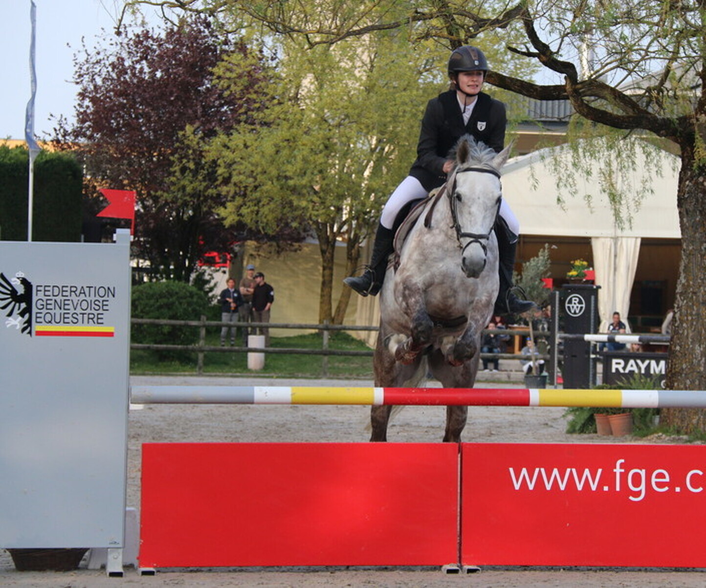 Description de l'image