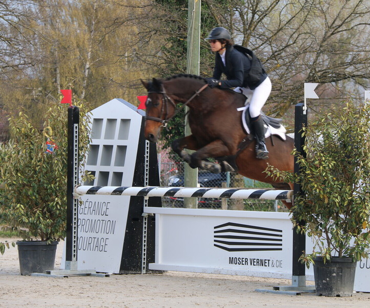 Description de l'image