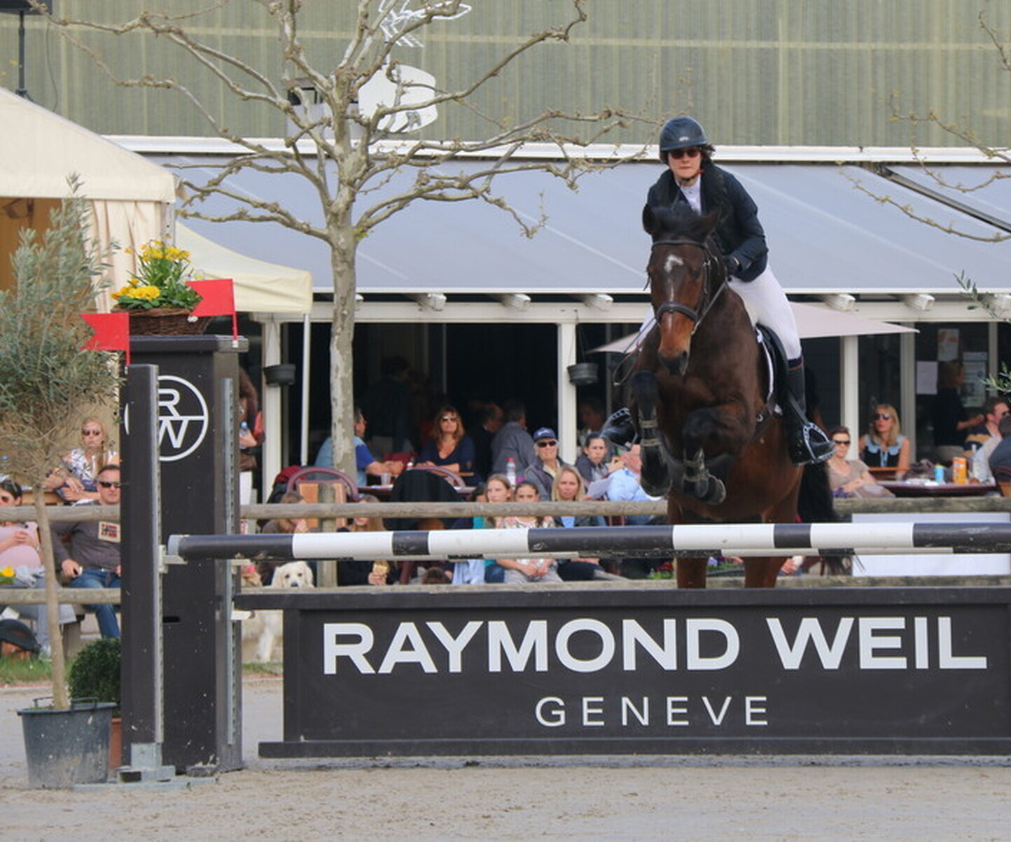 Description de l'image