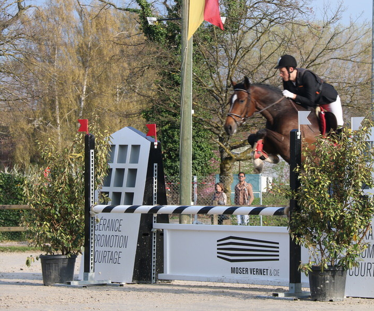 Description de l'image