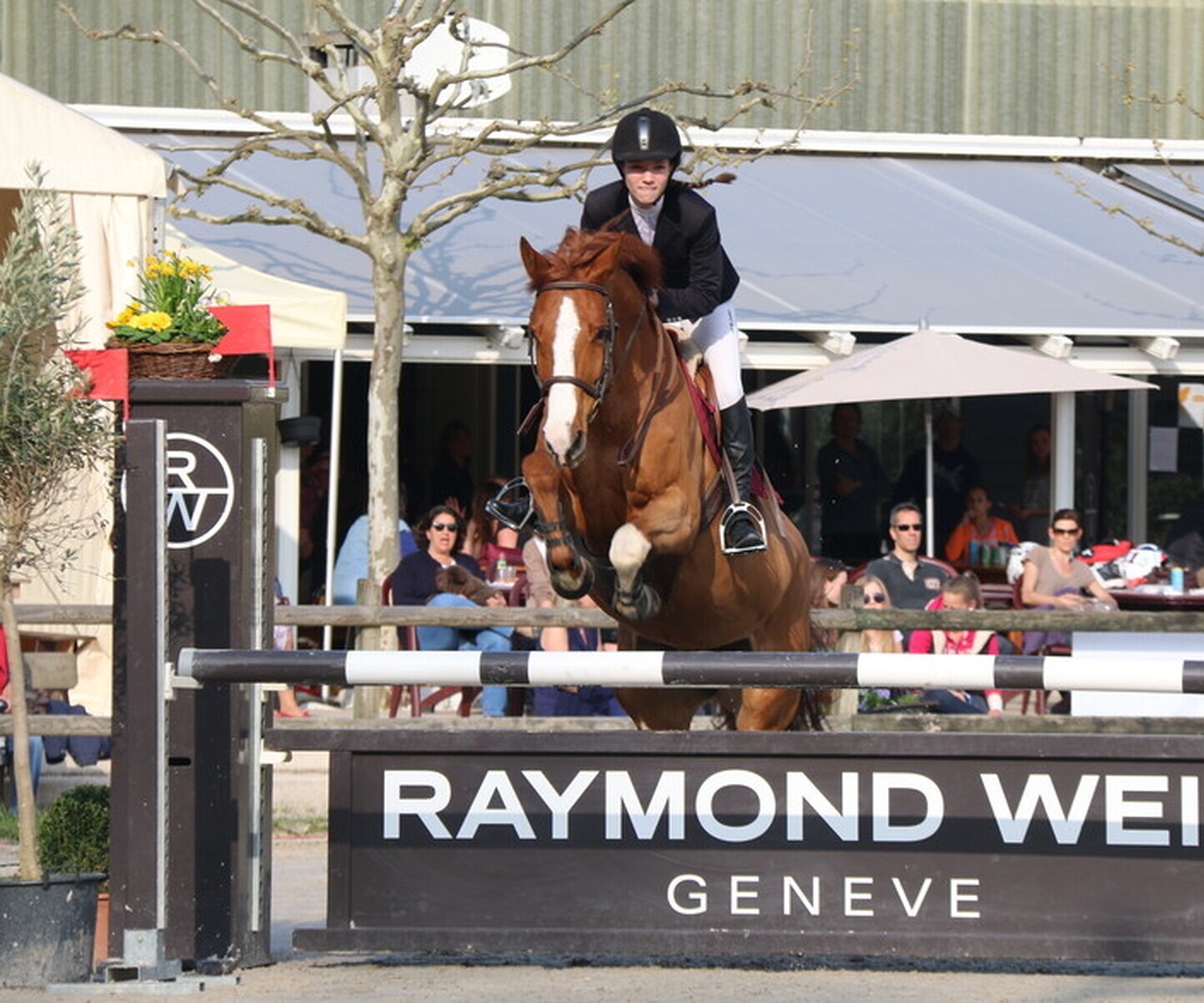 Description de l'image