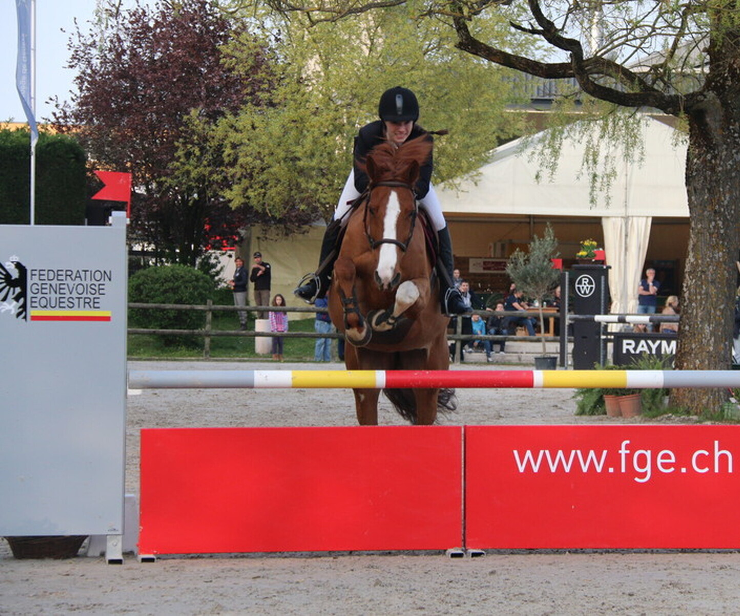 Description de l'image