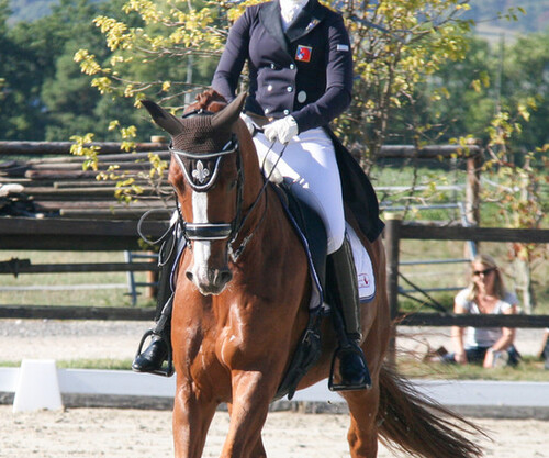 Championnats Suisse Dressge la Chaumaz